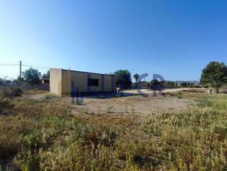 Mas à Ciudad de Asís. Finca rústica en la cañada de fenollar