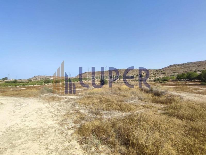 Foto 3861155d-3e9d-4df4-89cc-30c92b2b79e9. Finca rústica parcela urbanizable en elche zona santa ana en Elche / Elx