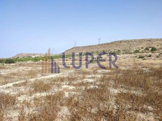 Propriété à Perleta - Maitino. Parcela urbanizable en elche zona santa ana