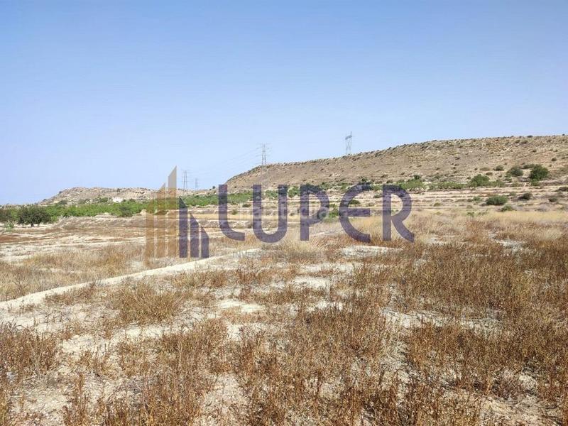 Foto 6dc81744-d7cc-49db-8dae-a95b7e6b76cc. Finca rústica parcela urbanizable en elche zona santa ana en Elche / Elx