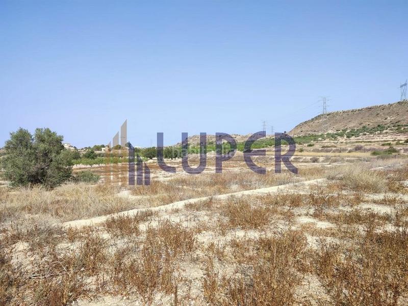 Foto 83e08447-14db-4603-b7cb-e2ac6ac1546b. Finca rústica parcela urbanizable en elche zona santa ana en Elche / Elx