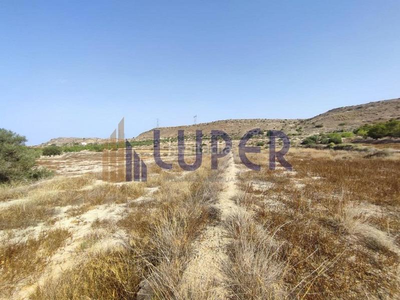 Foto 8d00a3f2-67e0-400e-a779-6ca1f8b8b7b5. Finca rústica parcela urbanizable en elche zona santa ana en Elche / Elx