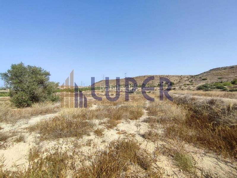 Foto a26123f0-494b-498a-81dd-27ba2921164c. Finca rústica parcela urbanizable en elche zona santa ana en Elche / Elx