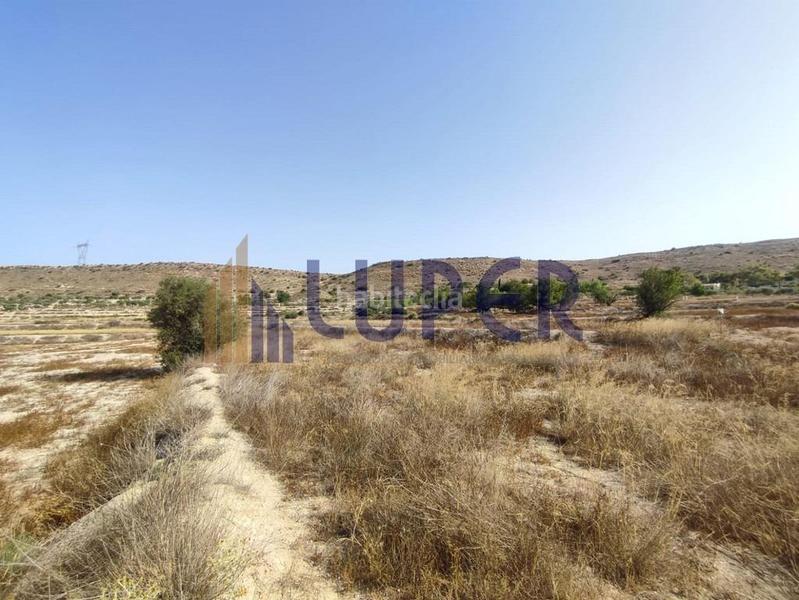 Foto be7dd886-caed-4421-a40c-eb4041f0400d. Finca rústica parcela urbanizable en elche zona santa ana en Elche / Elx