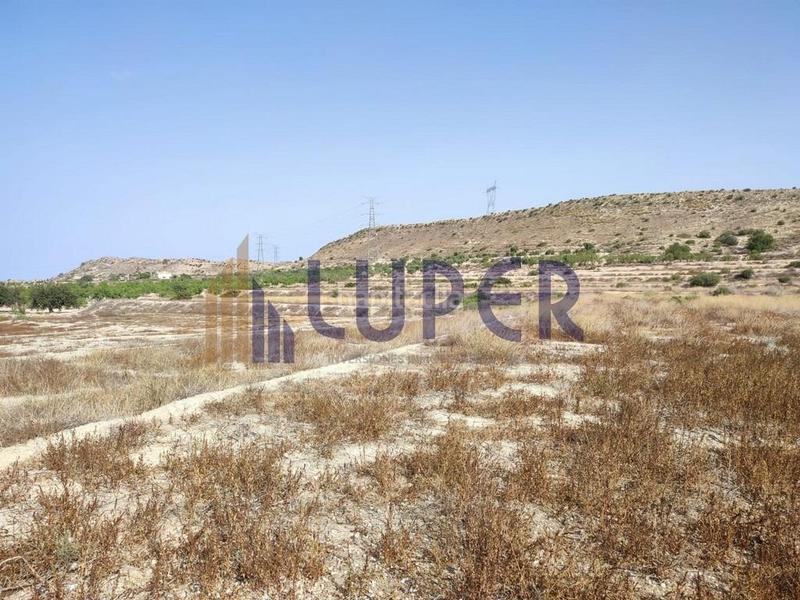 Foto c14958a6-1d27-43b4-9564-1118376948b0. Finca rústica parcela urbanizable en elche zona santa ana en Elche / Elx