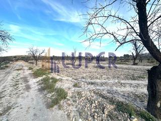 Fondo rustico in Agost. Parcela rústica urbanizable en agost 13.095m2 con viñas en produ