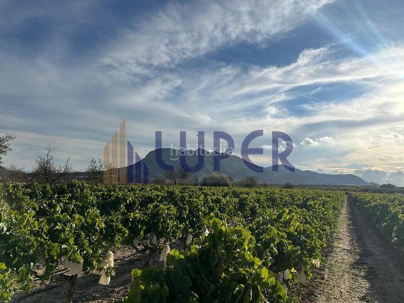 Foto 26f9f2f6-add4-4f34-a043-b3fc389c3d16. Finca rústica parcela rústica urbanizable 13.095m2 con viñas en producción en Agost