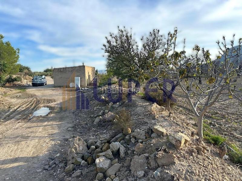 Foto 394ca7a5-0508-4d5e-a178-5998b2716937. Finca rústica parcela rústica urbanizable 13.095m2 con viñas en producción en Agost