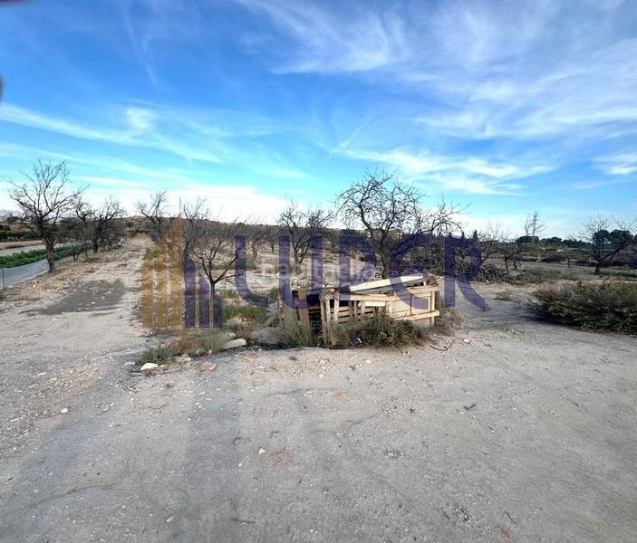 Foto 4b7ce76e-48d1-48af-a2d3-6d48b1f818b5. Finca rústica parcela rústica urbanizable 13.095m2 con viñas en producción en Agost