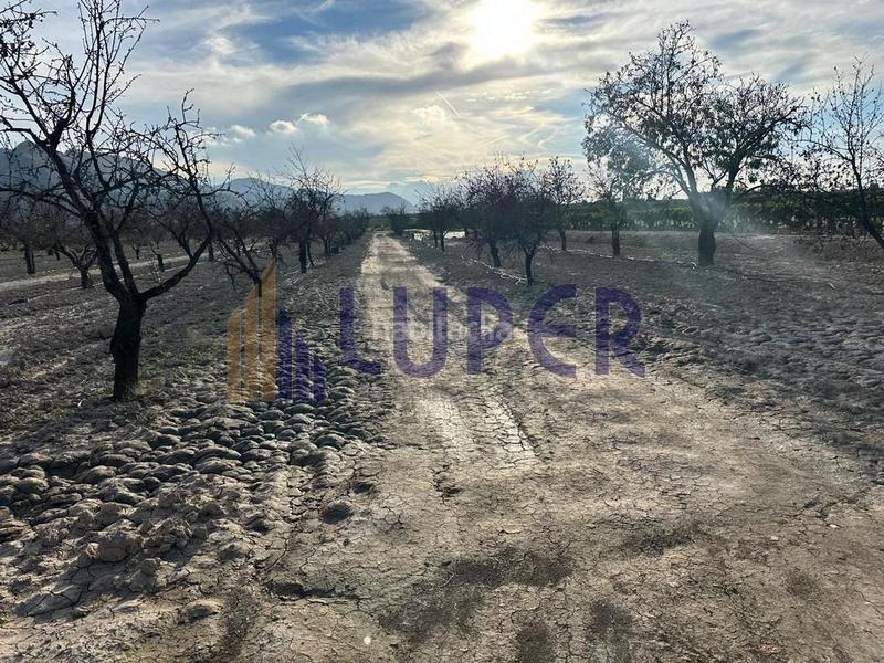 Foto 51e1be2e-63ab-4904-888c-4464263c88cc. Finca rústica parcela rústica urbanizable 13.095m2 con viñas en producción en Agost