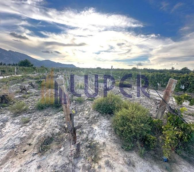 Foto 5500c332-cf50-49db-9595-20a5f625340d. Finca rústica parcela rústica urbanizable 13.095m2 con viñas en producción en Agost