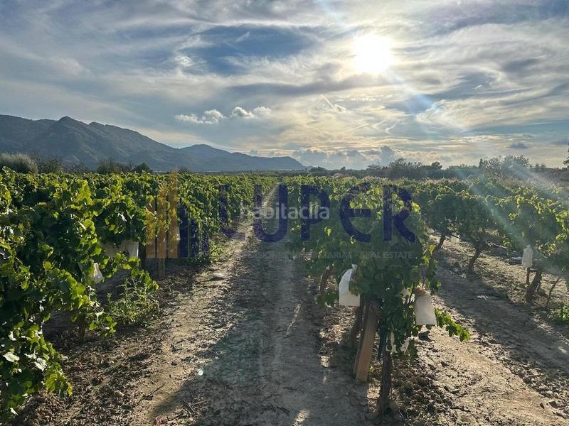 Foto 8d70303a-d8fc-43c2-be1c-d3bd238a8bfd. Finca rústica parcela rústica urbanizable 13.095m2 con viñas en producción en Agost