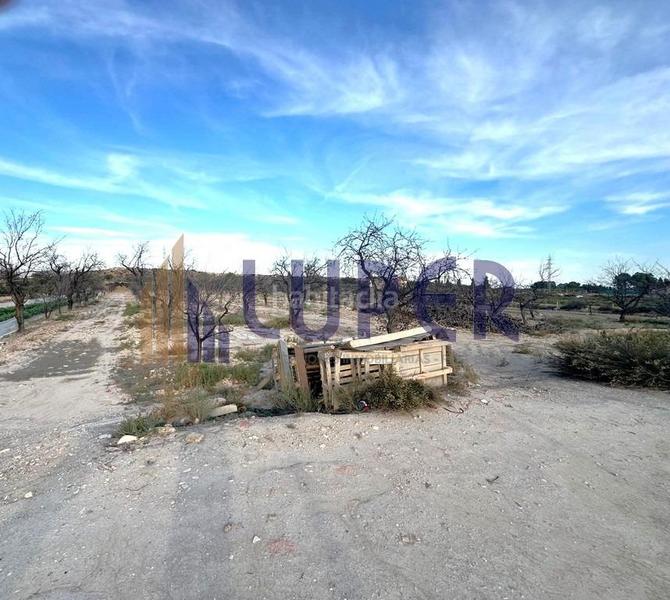 Foto ef0762cf-c13f-413a-a2d8-5e1abb88f0d1. Finca rústica parcela rústica urbanizable 13.095m2 con viñas en producción en Agost