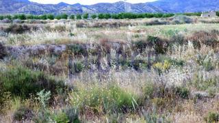 Landgut in Carolinas Altas. Se vende terreno rustico en alicante en la zona de verdegas, con