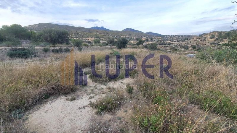 Foto 48c568af-cb4d-40ea-b7b5-4d225eac560e. Finca rústica a Aigües