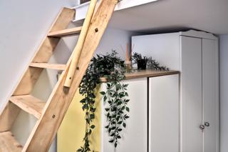 Location Appartement à Universidad-Malasaña. Estudio estiloso en el centro de madrid