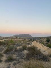 Finca rústica a Camí de l'alcoraia 21. Terreno en venta para casa prefabricada, la alcoraya