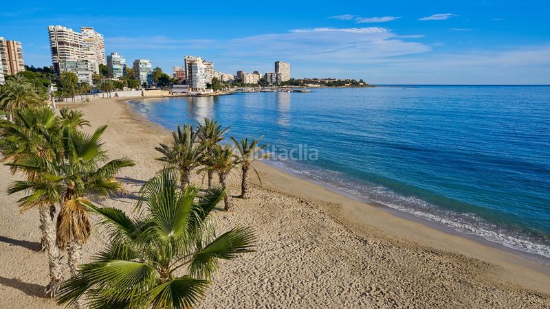 Foto 48087d01-9678-4f98-a5da-fe690381f9bf. Edifici a Benalúa Alicante