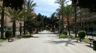 Lloguer Local Comercial a Avinguda oscar espla 15. Alquiler de local en avenida oscar espla