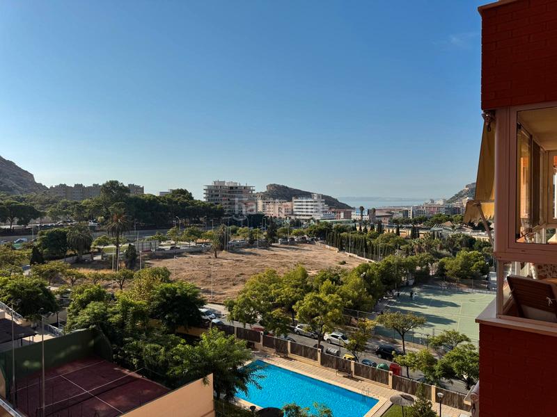 Foto 04412d36-54e8-435d-9519-2ace12e9b572. Rent flat in avenida pintor xavier soler 2 in Garbinet - Parque de las Avenidas Alicante