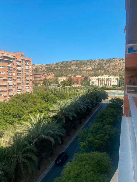 Foto 06a45a3d-306e-4d43-870c-49a98817e77c. Rent flat in avenida pintor xavier soler 2 in Garbinet - Parque de las Avenidas Alicante