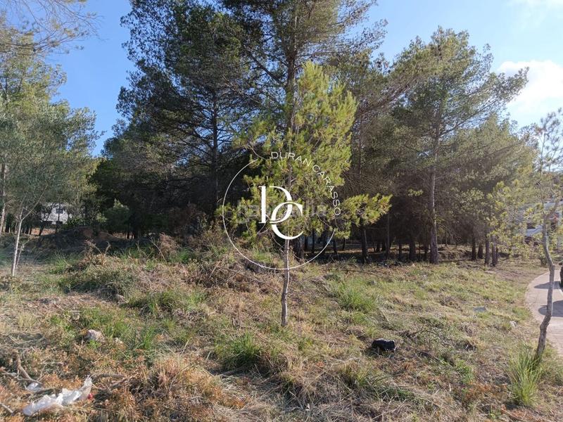 Foto 24443f23-876e-49fc-86bb-0031de861d98. Residential plot in Mas Alba Sant Pere de Ribes