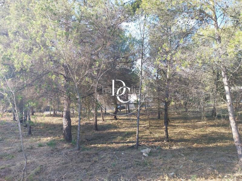 Foto 409273de-af92-467f-8224-482cc3571cff. Residential plot in Mas Alba Sant Pere de Ribes