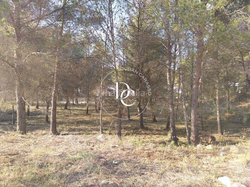 Foto 4b22f8c0-a343-46cb-abff-5dfbdb0dad38. Residential plot in Mas Alba Sant Pere de Ribes