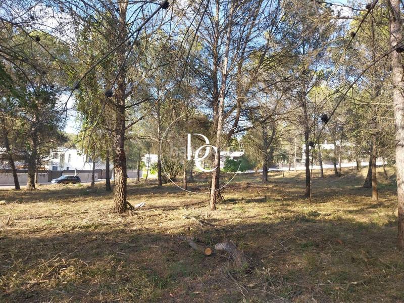 Foto 50c81541-e6b0-450b-a7ca-a779fd2cabc9. Residential plot in Mas Alba Sant Pere de Ribes