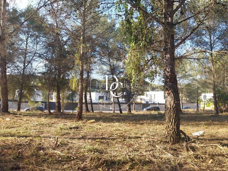 Foto 533e33cb-2bd3-4aae-b769-25eafbe14c6a. Residential plot in Mas Alba Sant Pere de Ribes