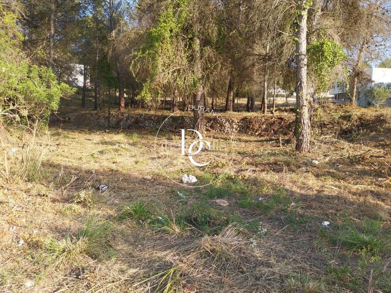 Foto 591510fa-897b-4c29-ba84-143026a90237. Residential plot in Mas Alba Sant Pere de Ribes