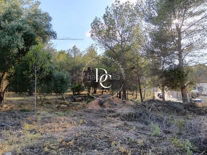 Foto 96bf5b0b-a827-4696-b7a5-376d285fc5d4. Residential plot in Mas Alba Sant Pere de Ribes