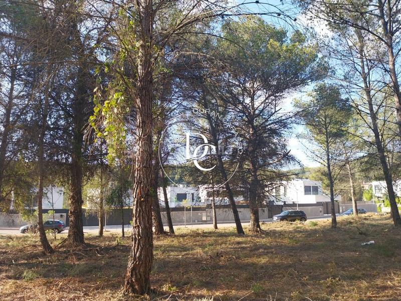 Foto 9ae34cc3-0703-4119-8257-d4a812b4b2e0. Residential plot in Mas Alba Sant Pere de Ribes
