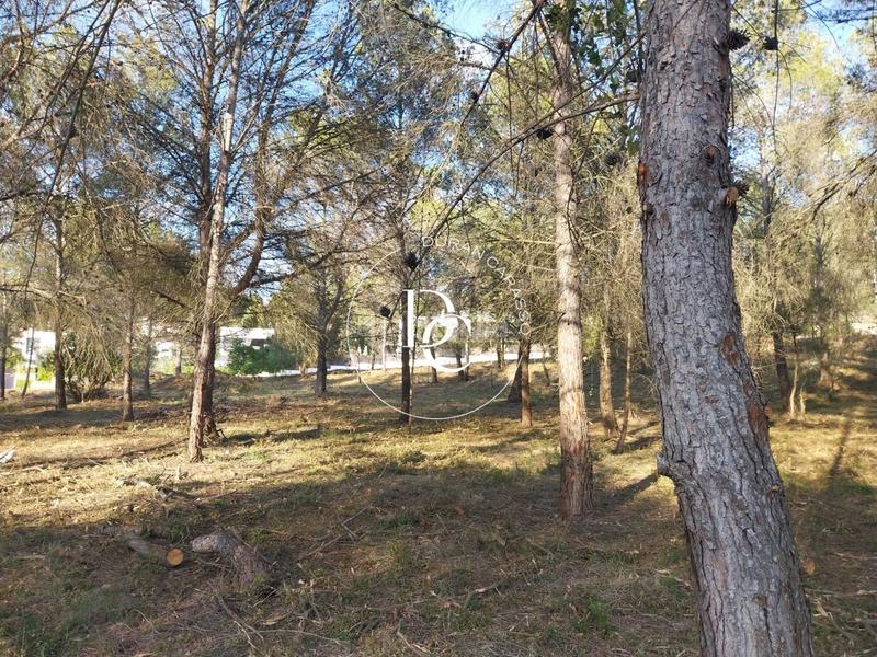 Foto cd61dedf-77ef-49e7-9b58-a3ab0b26eff9. Residential plot in Mas Alba Sant Pere de Ribes