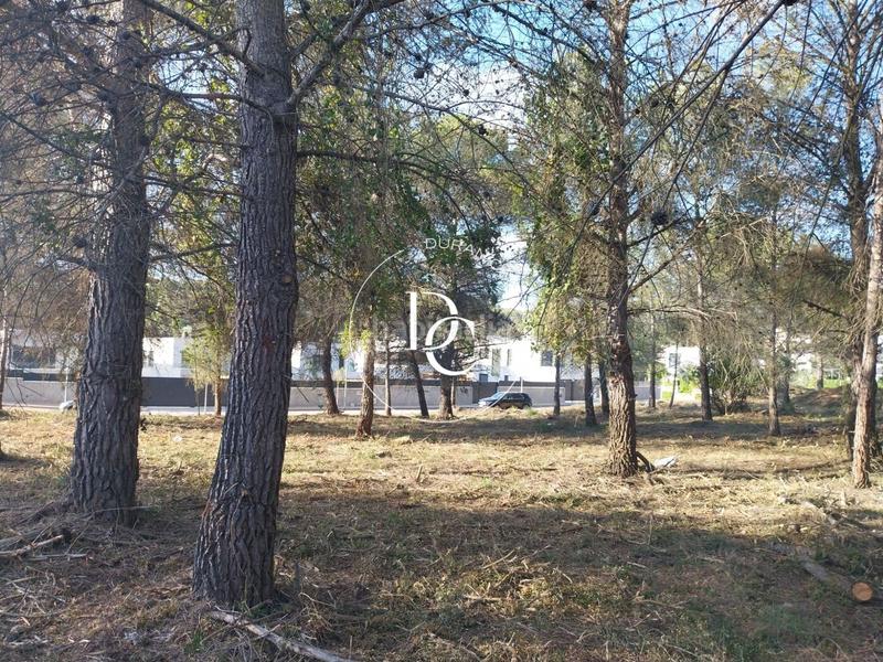 Foto f236c922-8d65-410c-be2b-9001afb9f16d. Residential plot in Mas Alba Sant Pere de Ribes