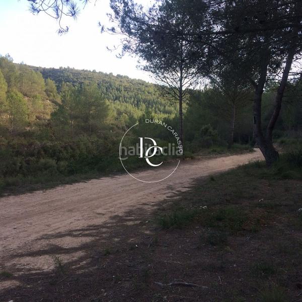 Foto 3862a81a-22ee-49f8-a8ca-8e57ca197f69. Masia a Castellet i la Gornal