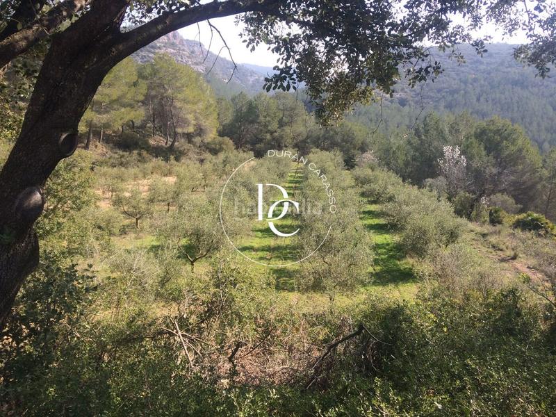 Foto f7eae48d-43b0-4524-9d08-b7a81aa26395. Masia a Castellet i la Gornal