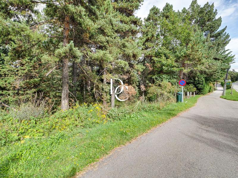 Foto d86f1a5e-e6e6-4705-9710-a9c1aeb69bdf. Terreno residencial parcela de 1001 m2 en venta en alp en Molina (La)