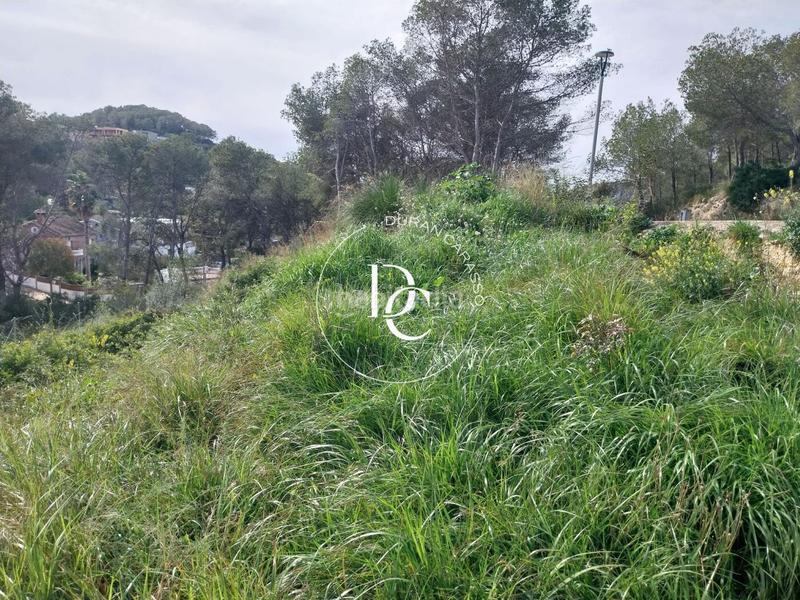 Foto bcf8056b-64ba-4073-ad2b-9760cc1b3ad6. Wohngrundstück in Mas Alba Sant Pere de Ribes