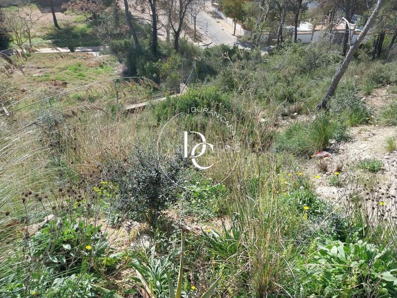 Foto dbf54b65-c566-449e-9ad3-4d49c0005ae1. Wohngrundstück in Mas Alba Sant Pere de Ribes