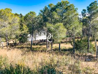 Terreny residencial  Avinguda camí de miralpeix. Parcela de 1201 m2 en venta en can girona, sitges