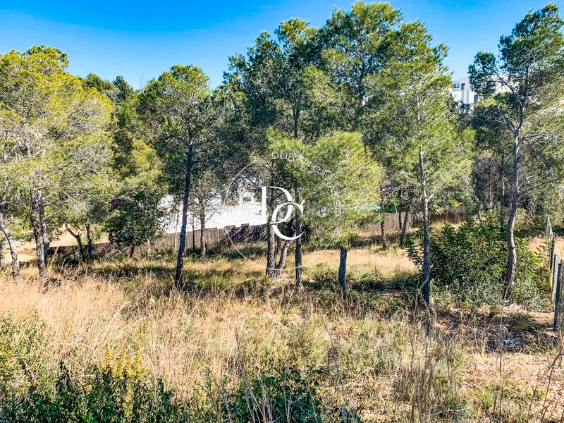 Foto e836cb46-f6fa-4fb4-997d-fc887ff08bfe. Terreno residencial parcela de 1201 m2 en venta en can girona, en Sitges