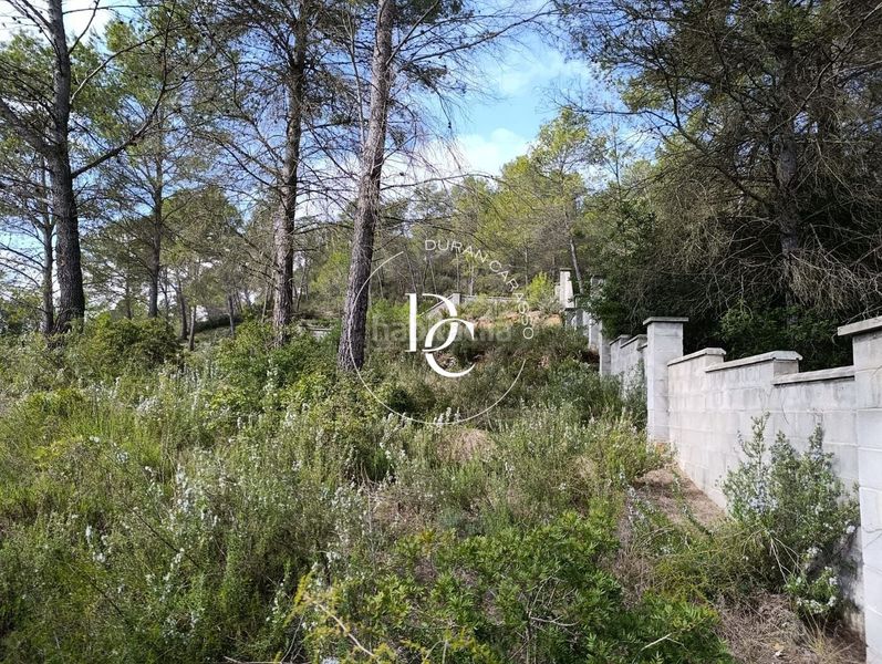 Foto 2e353bd5-81f1-4c3a-bb33-c4be774d45fc. Terreny residencial a Olivella