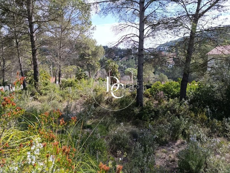 Foto 3000d1f3-3fa2-4ac1-a6de-d58c51f57f55. Terreny residencial a Olivella