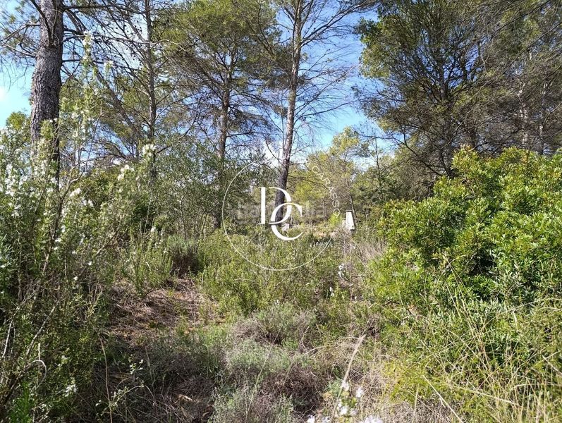 Foto 51865b57-7a6f-4990-93b9-c8546098a70a. Terreny residencial a Olivella