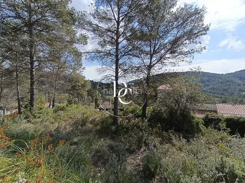 Foto 5c0459af-81fe-4618-99a3-1bd6465804e3. Terreny residencial a Olivella
