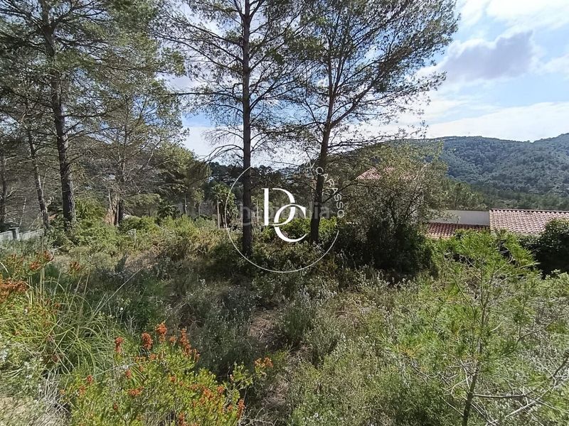 Foto d876da99-929a-44b6-a080-8b33ec83e92e. Terreny residencial a Olivella