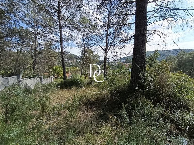 Foto f76a9ef5-fabb-4928-953e-517f5645be4f. Terreny residencial a Olivella
