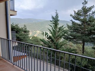 Appartement  Carrer dels plans. Piso de 49 m2 con vistas y terraza en venta en alp