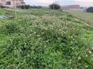 Terreno residenziale in Capellans 3